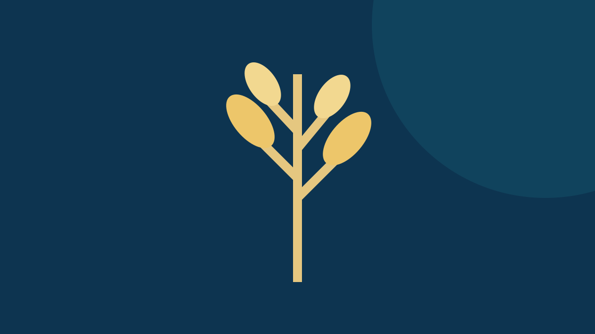 USDA Launches Interactive Dashboard for Export Grain Inspection Data